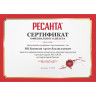 Бензопила РЕСАНТА БП-4516 70/6/14